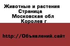  Животные и растения - Страница 7 . Московская обл.,Королев г.
